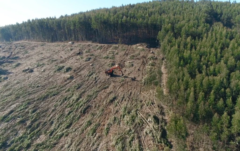 Cormacarena avanza en la lucha contra la deforestación y los efectos del Cambio Climático en el Meta