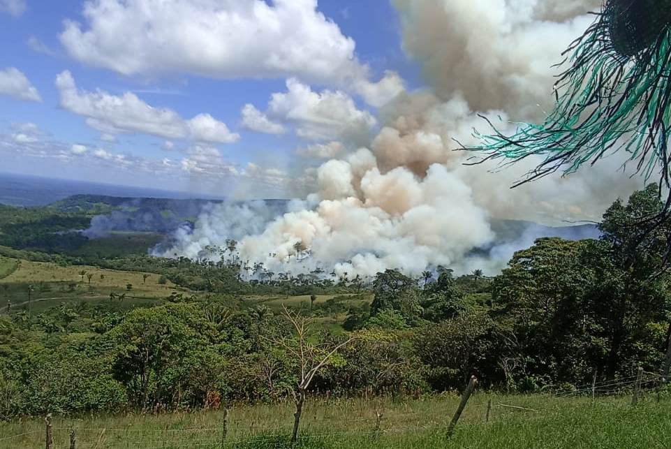 Operativo evita quema de 20 hectáreas de bosque en Parque Nacional La Macarena