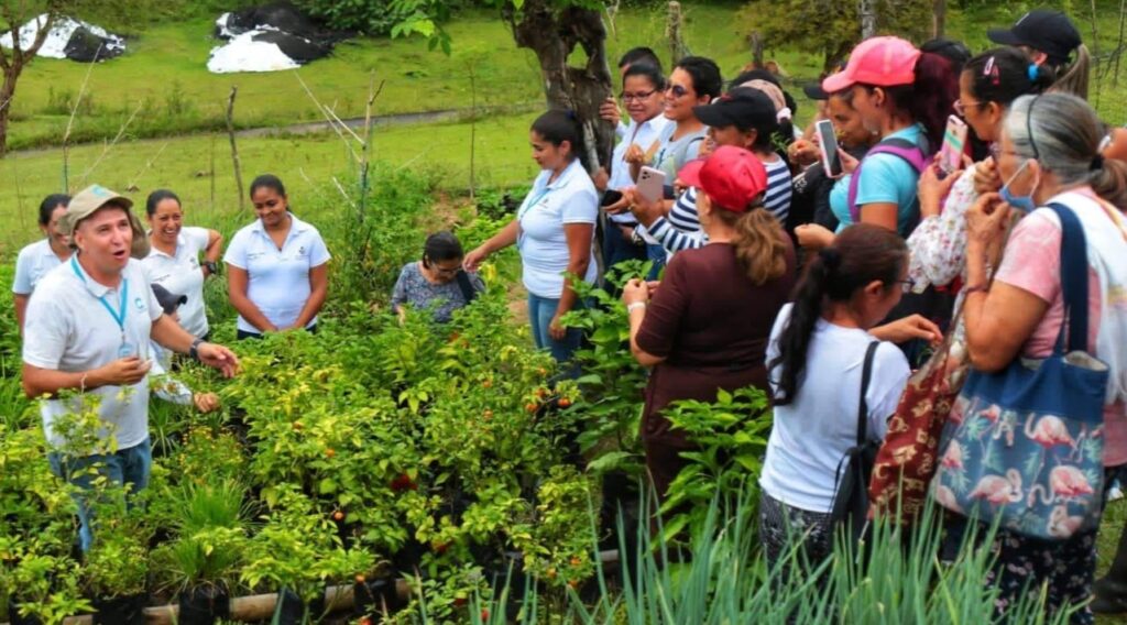 Con huertas caseras, Cormacarena impulsa la seguridad alimentaria para más de 150 familias en Villavicencio