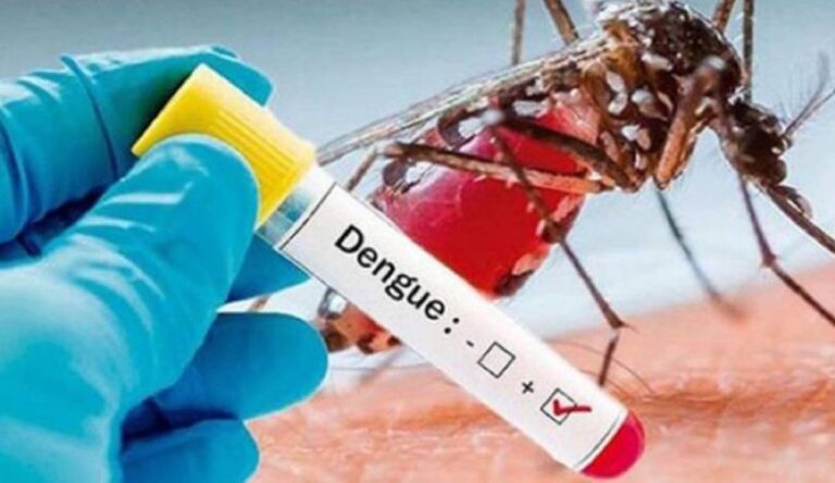Por incremento en contagios de dengue en el país, Procuraduría requirió a los entes territoriales asegurar la capacidad de respuesta en el manejo, tratamiento y seguimiento de casos