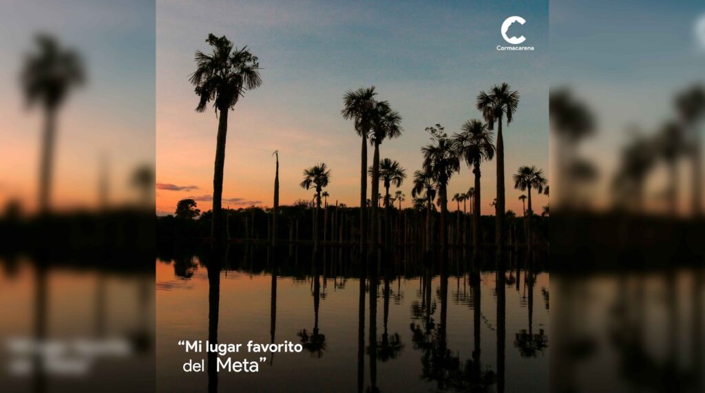 Se abre el Concurso de Fotografía Ambiental organizado por Cormacarena