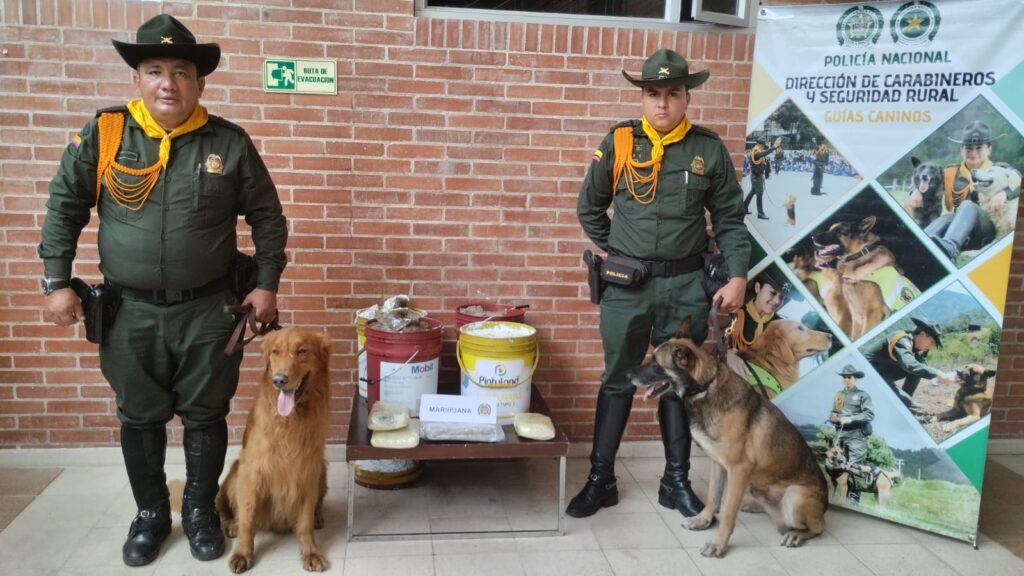 Policía incautó 50 mil gramos de marihuana en el Aeropuerto Vanguardia de Villavicencio
