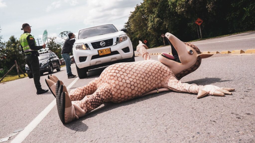 Cormacarena sensibiliza conductores sobre atropellamiento de fauna silvestre