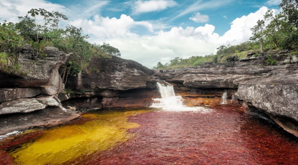 Según cifras de Cormacarena 10.400 personas ingresaron a Caño Cristales en 2022